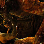 RIDDICK (2013) International Movie Trailer: Riddick Returns to Black