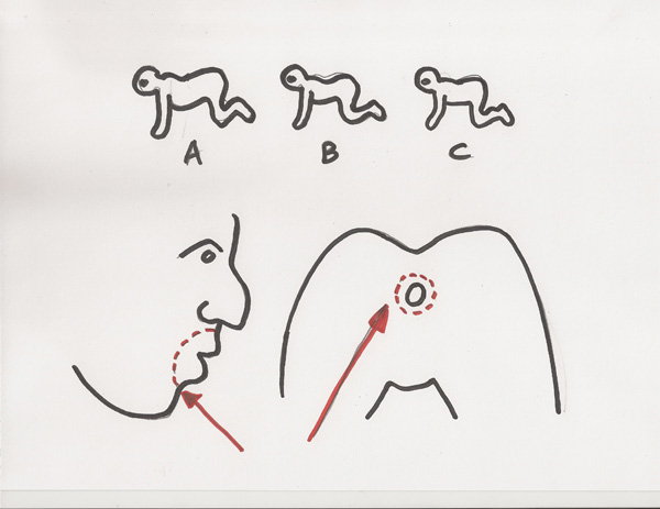 The Human Centipede (First Sequence) Diagrams.