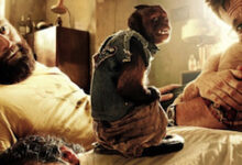 Bradley Cooper, Ed Helms, Zach Galifianakis, The Hangover 2 Movie Poster, 02