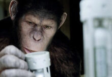 Caesar, Rise of the Planet of the Apes, 2011