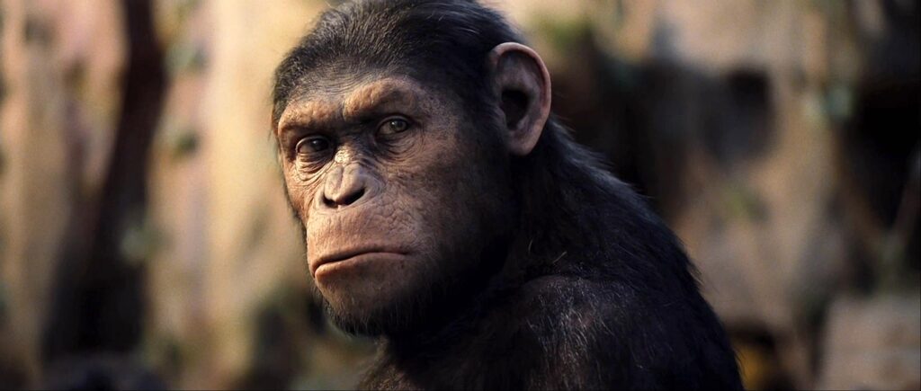 Caesar, Rise of the Planet of the Apes, 2011