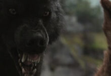 Werewolves, The Twilight Saga Breaking Dawn Part 1 2011