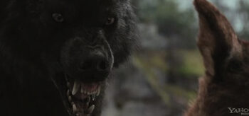Werewolves, The Twilight Saga Breaking Dawn Part 1 2011