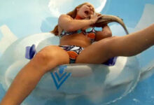 Piranha 3DD