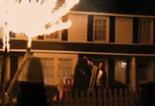 Tree Fire, Project X