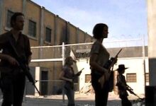 The Walking Dead The Suicide King