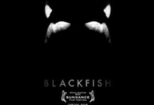 Blackfish
