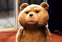 TED