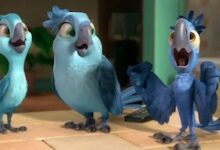 Rio 2