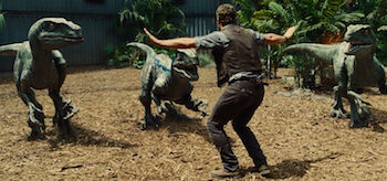 Chris Pratt Velociraptors Jurassic World