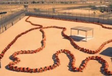 The Human Centipede 3 Final Sequence