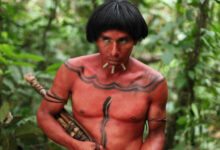 The Green Inferno Movie Images
