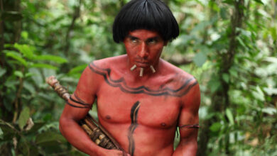 The Green Inferno Movie Images