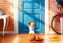 The Secret Lives of Pets Trailer, Poster, and Images