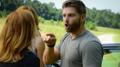 Marg Helgenberger Mike Vogel Rachelle LeFevre Under the Dome Incandescence