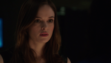 Danielle Panabaker The Flash