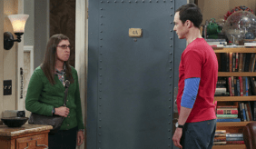Jim Parsons Mayim Bialik The Big Bang Theory The Separation Oscillation