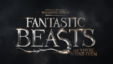Fantastic Beasts And Where To Find Them Movie Images