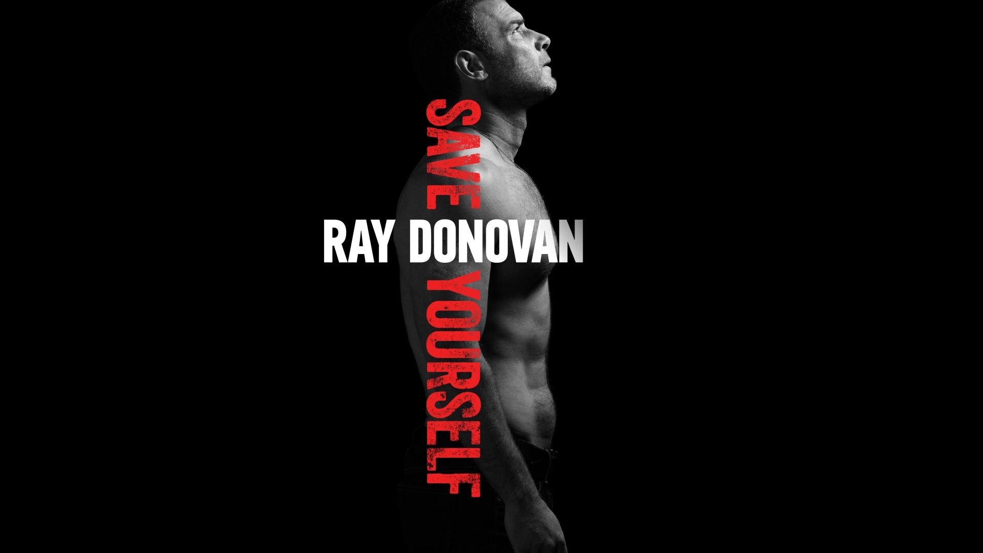 Ray Donovan: Season 4 TV Show Poster