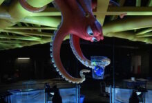 Ellen DeGeneres Ed O'Neill Finding Dory
