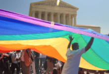 Political Animals Flag