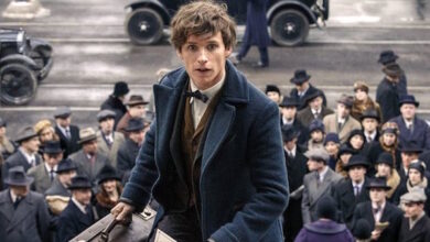 Eddie Redmayne Fantastic Beasts and Where to Find Them