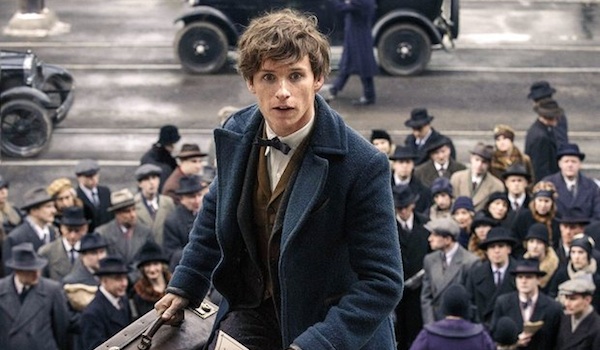 Eddie Redmayne Fantastic Beasts And Where To Find Them
