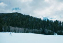 Jeremy Renner Wind River