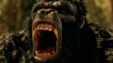 Gorilla Grodd Attack on Gorilla City The Flash Trailer