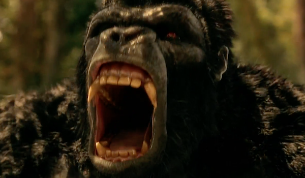 Gorilla Grodd Attack on Gorilla City The Flash Trailer
