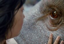An Seo Hyun Okja