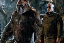 Gorilla Woody Harrelson War for the Planet of the Apes