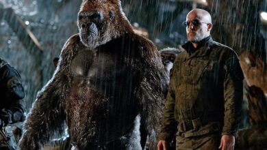 Gorilla Woody Harrelson War for the Planet of the Apes