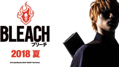 Bleach Movie Poster Banner
