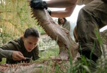 Natalie Portman Tessa Thompson Annihilation