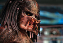 Predator In Lab The Predator