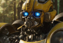 Sad Face Bumblebee