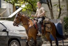 Andrew Lincoln The Walking Dead A New Beginning