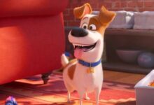 Max The Secret Life of Pets 2