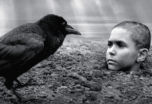 Petr Kotlar The Painted Bird