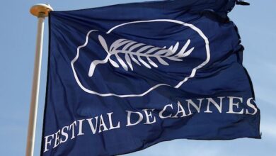 Cannes Film Festival Flag 01