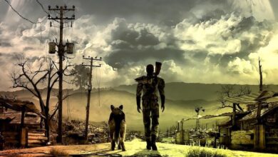 Man Rifle Dog Fallout Videogame