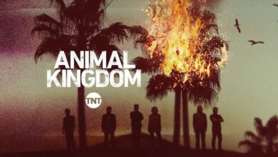 Animal Kingdom Logo