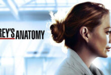 Greys Anatomy Season Seventeen Tv Show Poster