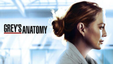 Greys Anatomy Season Seventeen Tv Show Poster