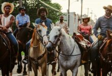 Ivannah-Mercedes Method Man Caleb McLaughlin Byron Bowers Lorraine Toussaint Idris Elba Concrete Cowboy 01