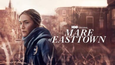 Mare Of Easttown Tv Mini Series Poster Banner
