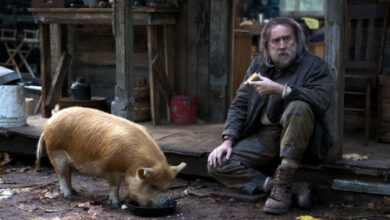 Nicolas Cage Pig