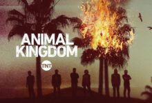 Animal Kingdom Logo
