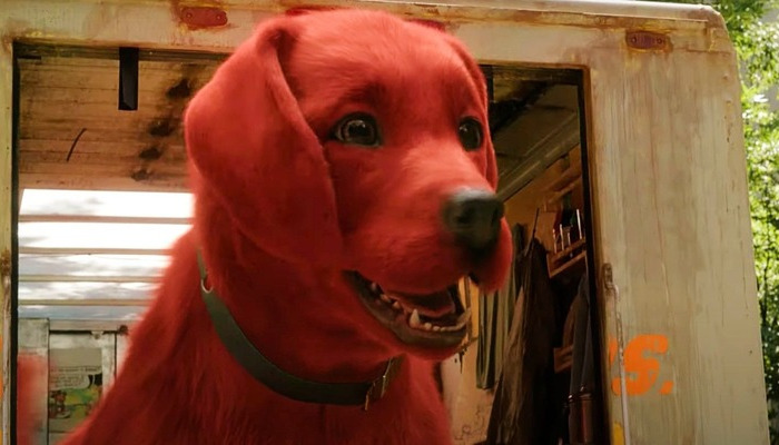 Clifford The Big Red Dog Close Up